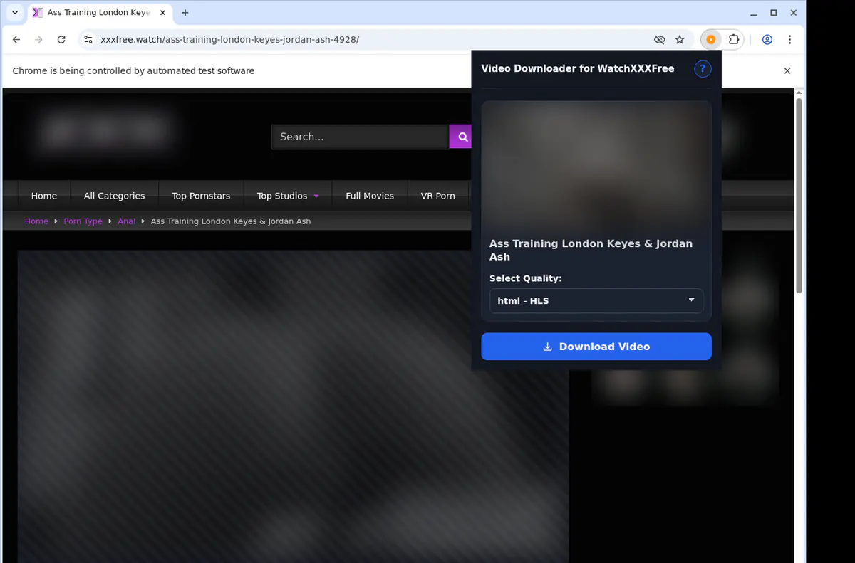 Watchxxxfree Video Downloader browser extension screenshot 3